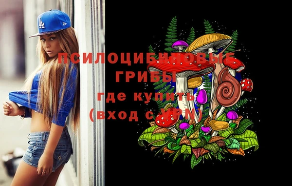 соль курить ск Богородицк