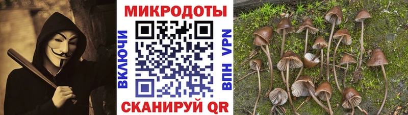 Галлюциногенные грибы Magic Shrooms  гидра маркетплейс  Ачхой-Мартан 